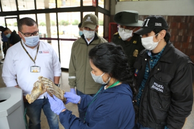 El tráfico de fauna silvestre con fines comerciales, para la tenencia de las especies o el consumo humano de la carne es un delito