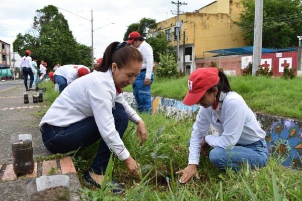 Cruz Roja Seccional Casanare realizó siembratón de árboles en Yopal