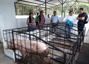 Granja Mapire al servicio de estudiantes de El Morro