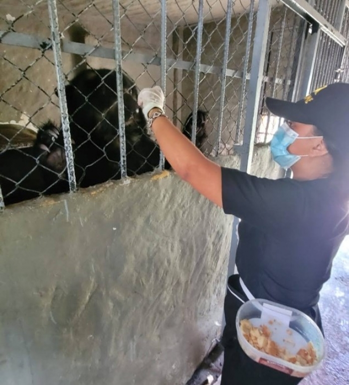 Unitropistas participarán en seminario de investigación animal en Tunja