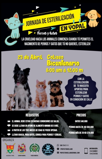 Jornada de esterilización de perros y gatos este martes en Yopal