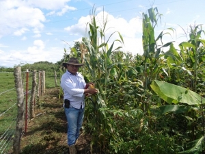 Convenio de adaptación al cambio climático en norte de Casanare deja resultados positivos