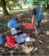Investigan muerte de chigüiros en Casanare por posible brote zoonótico en zona rural de Paz de Ariporo