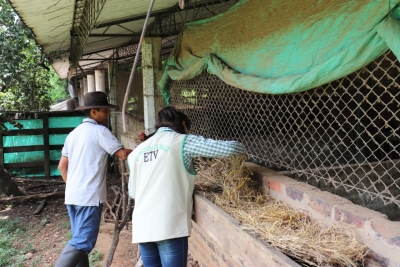 1400 familias han sido sensibilizadas en prevención del Chagas en Yopal