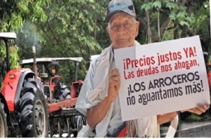 Paro arrocero: Productores exigen cumplimiento de acuerdos