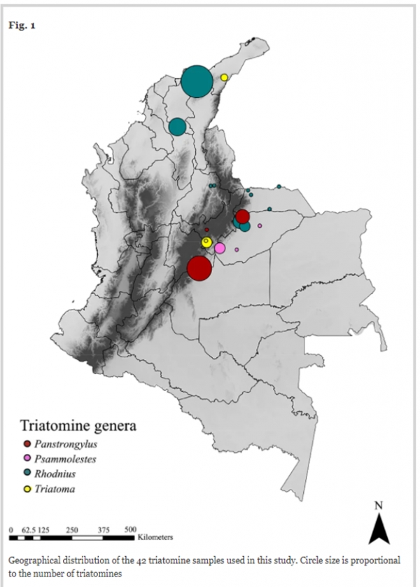 Homo sapiens sería la principal fuente de alimento de triatominos en varias zonas de Colombia