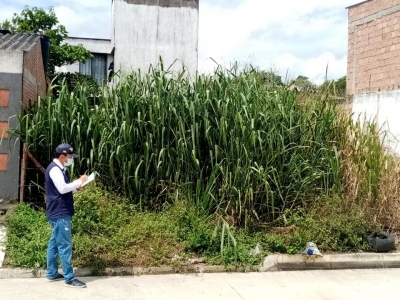 Realizan caracterización de ‘lotes de engorde’ en Yopal