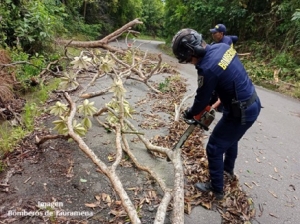 Fuerte aguacero en Tauramena generó caída de árboles en vía alterna que comunica con Monterrey