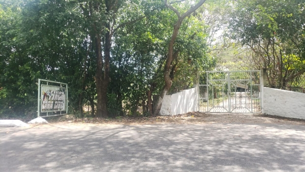 Una mujer fue hallada ahorcada en una finca de Yopal