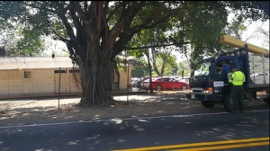 Predio en la Marginal de la selva obstruye parqueo de vehículos en emergencia: Policía de Tránsito