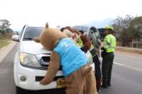 Ceda el paso: Corporinoquia entregó recomendaciones para evitar accidentes con fauna silvestre en las carreteras