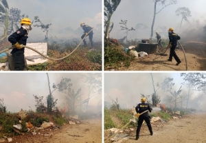 Quema prohibida terminó convertida en incendio forestal cerca de Torres de San Marcos