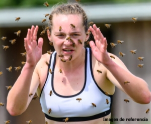 Abejas generan pánico en centro deportivo Los Hobos