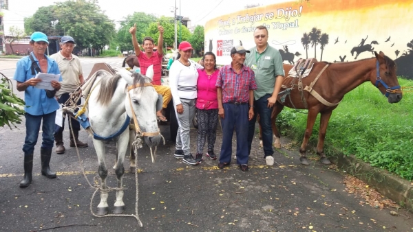 Caracterizados 24 vehículos de tracción animal en Yopal