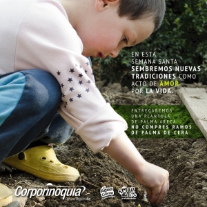 Corporinoquia invita a sembrar nuevas tradiciones este Domingo de ramos