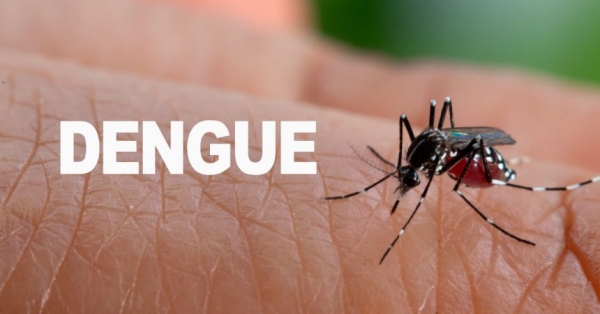 Yopal, Nunchía, Tauramena y Villanueva continúan en epidemia de dengue