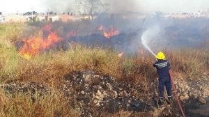 Recomendaciones para la temporada seca en Yopal