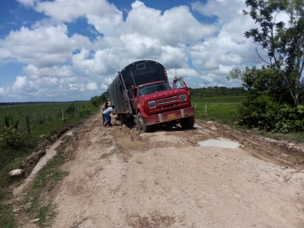 Comunidad pide urgente intervención de la vía Trinidad - Bocas del Pauto