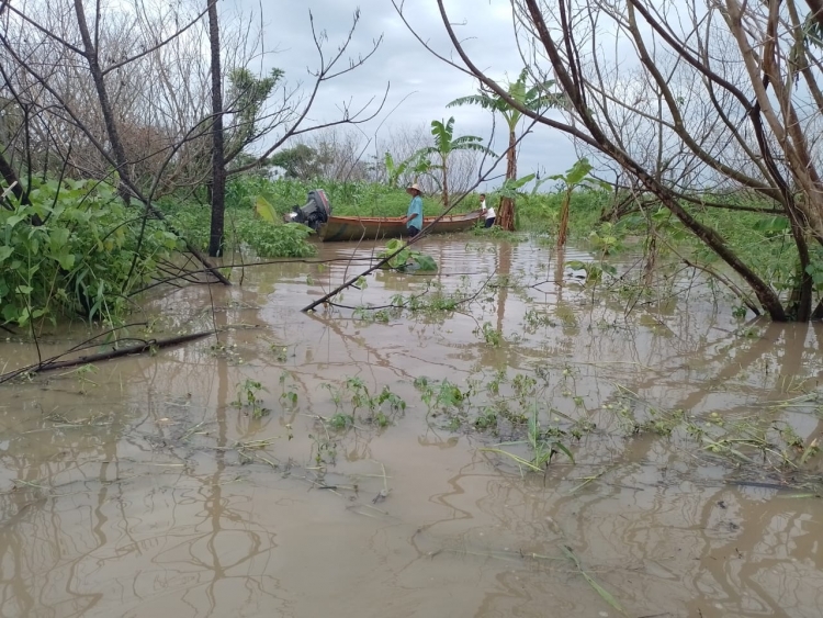 Inundaciones y lluvias afectaron cultivos en La Hermosa en Paz de Ariporo