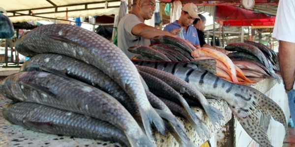 Esta Semana Santa no habrá permisos para vender pescado en espacio público en Yopal