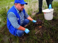 Corporinoquia sigue atendiendo quejas y avanza en investigaciones