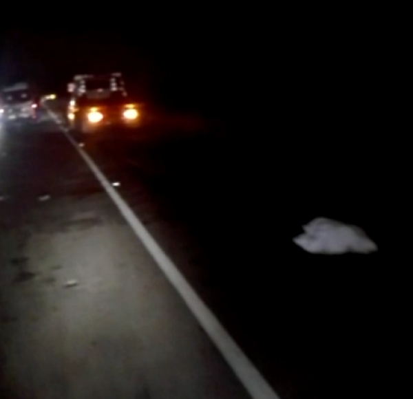 Un muerto deja accidente en Río Chiquito