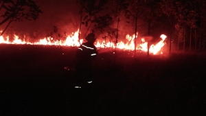 Invaluables pérdidas dejan incendios de grandes proporciones en Paz de Ariporo y Aguazul
