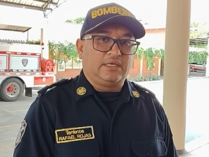 Nuevo ataque de abejas en zona urbana de Yopal