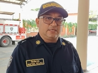 Nuevo ataque de abejas en zona urbana de Yopal