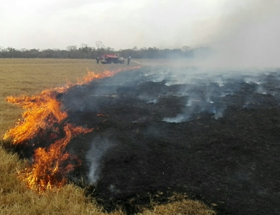 Para prevenir incendios, invitan a no realizar quemas con fines agrícolas