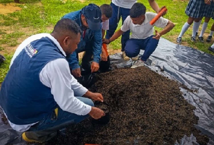 Ejército Nacional impulsa cultivo de cacao en colegio rural de Maní, Casanare
