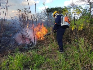 Yopal en alerta por riesgo de incendios forestales ante déficit de lluvias