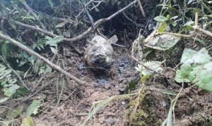 Ejército halló explosivos que podrían ser del ELN