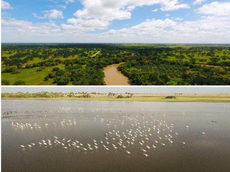 Geopark se convierte en la primera compañía en Colombia en verificar su huella de agua en todas sus operaciones