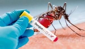 Decretan en Yopal calamidad pública por aumento de casos de dengue