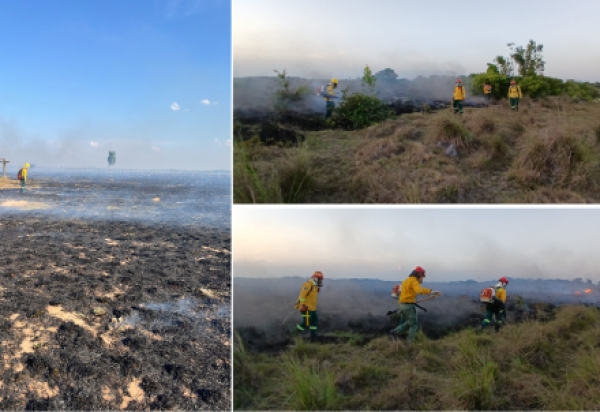 Incendio forestal de gran magnitud consumió cerca de 1.000 hectáreas en Aguazul