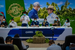 Gobernación socializó programa para el establecimiento de 150 hectáreas de Plátano hartón en Casanare