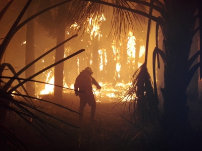 Casanare en alerta roja por incendios forestales